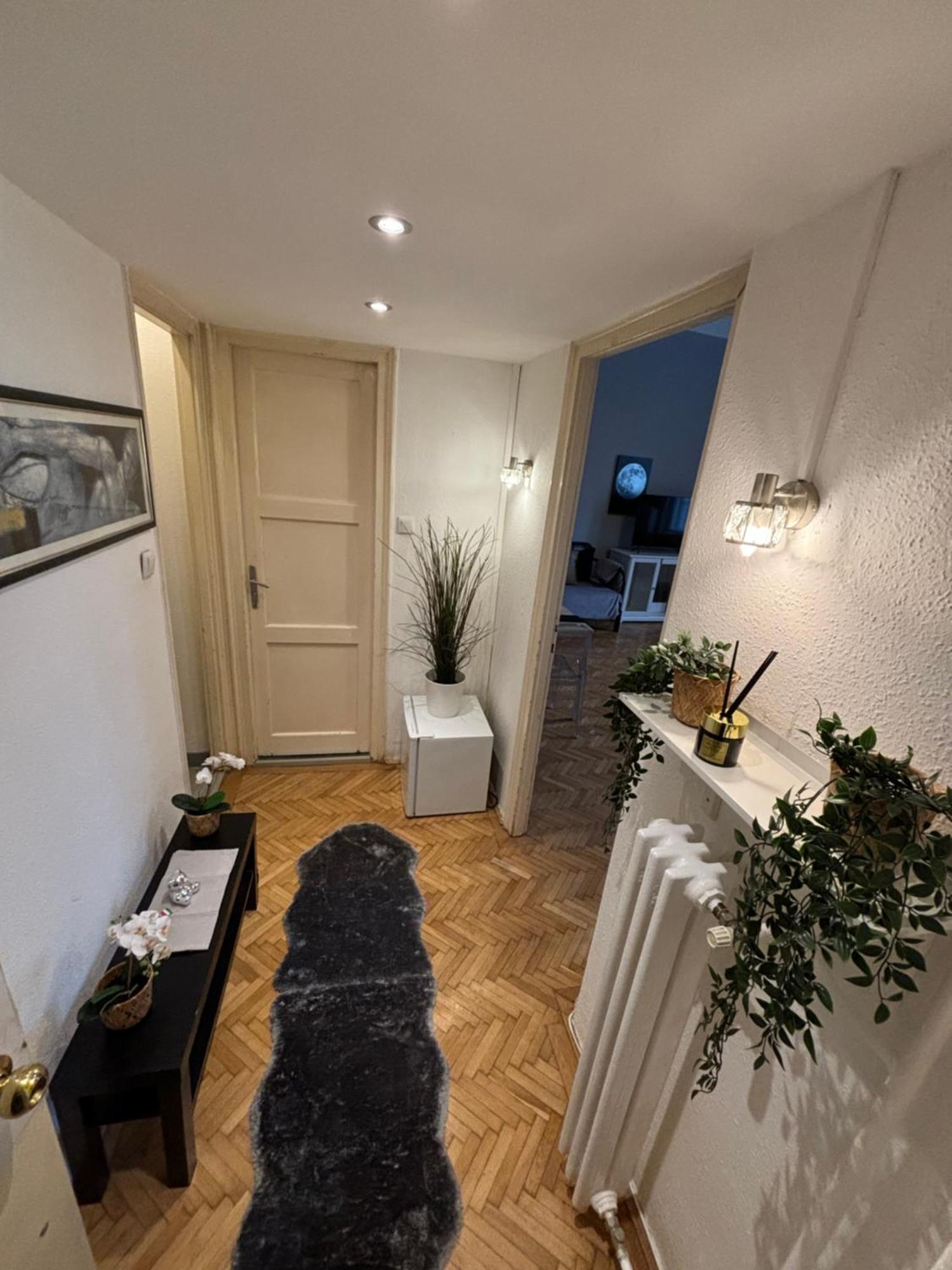 Cozy Panorama Next To The Fashion Street Apartment